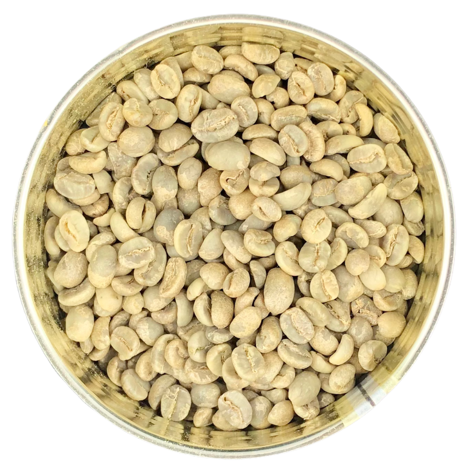 Future Essential Canned Green Coffee Beans 6 Cans Per Case | Long Shelf Life