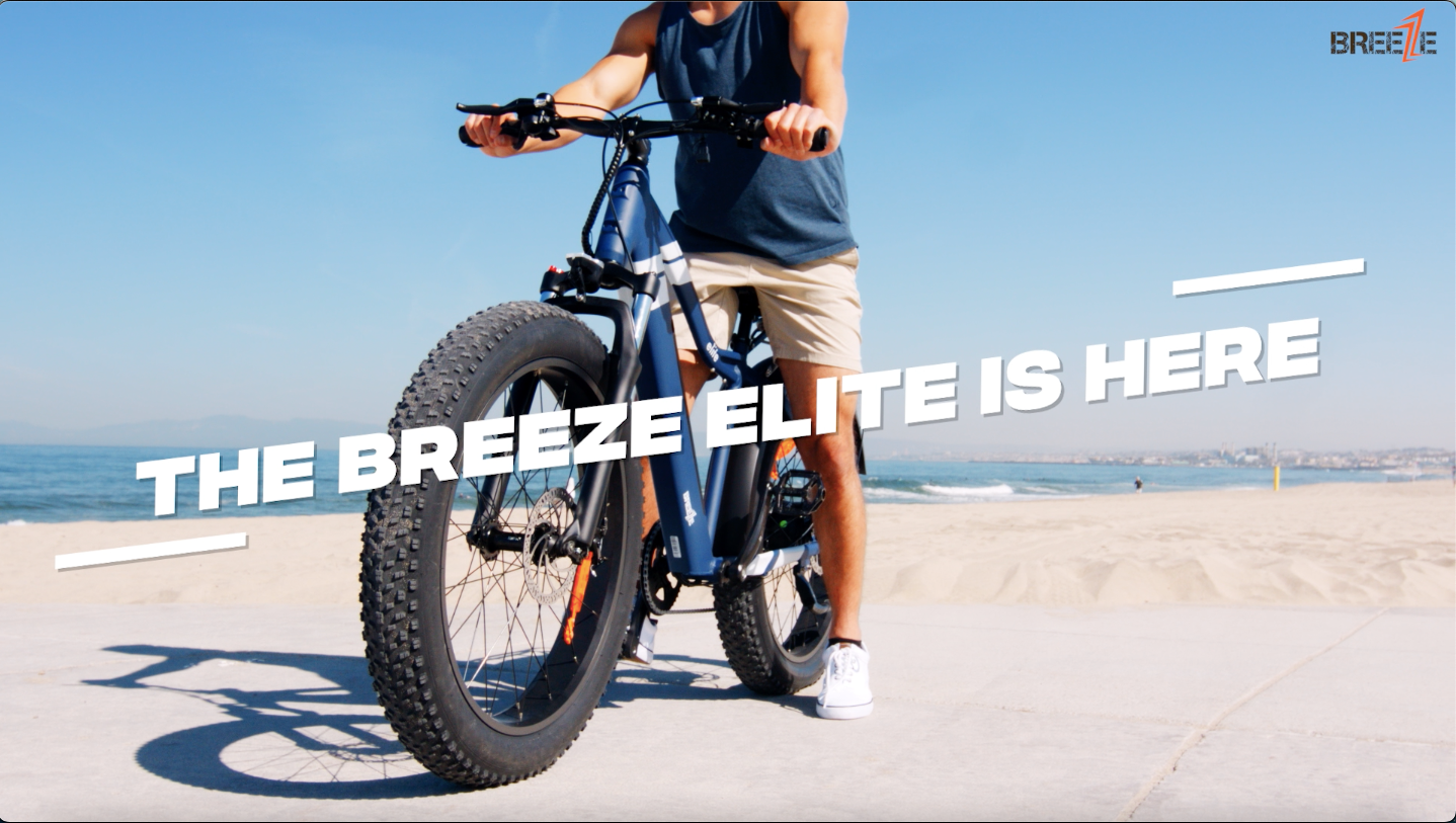 Load video: EZ Breeze Elite 750W Electric Bike