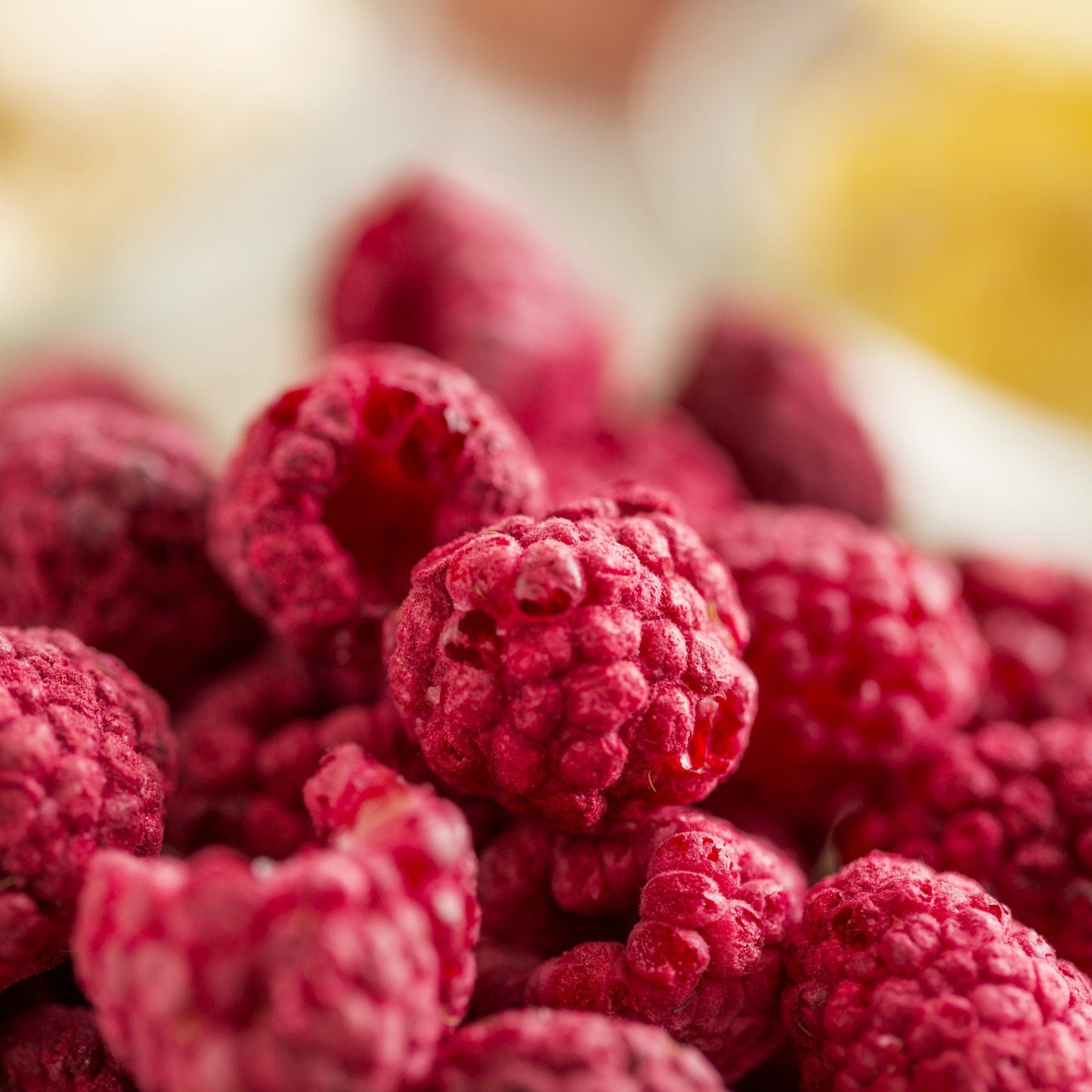 Freeze Dried Whole Raspberries Can, 23 Servings