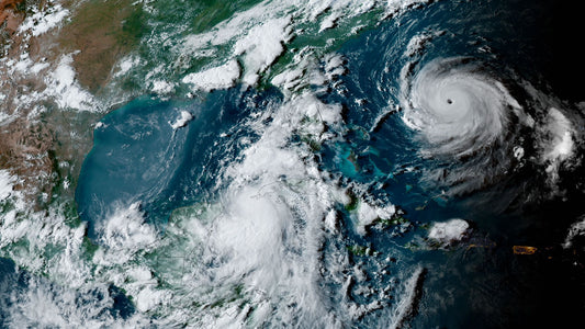 Hurricane Idalia Emergency Resources