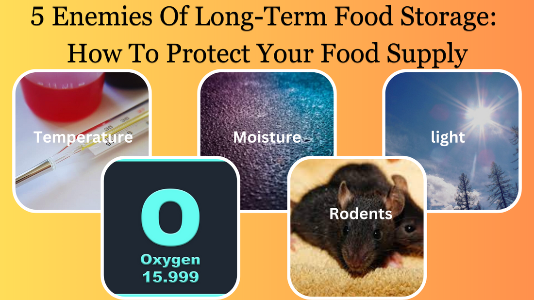 5 Enemies Of Long-Term Food Storage: How To Protect Your Food Supply - Safecastle