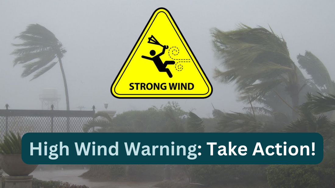 High Wind Warning: Assessing Damage, Reporting Hazards, and Supporting Community - Safecastle