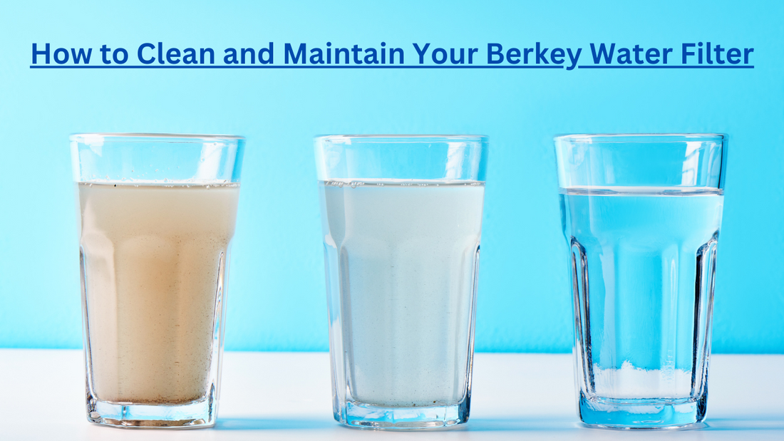 How to Clean the Berkey Water Filter – Safecastle