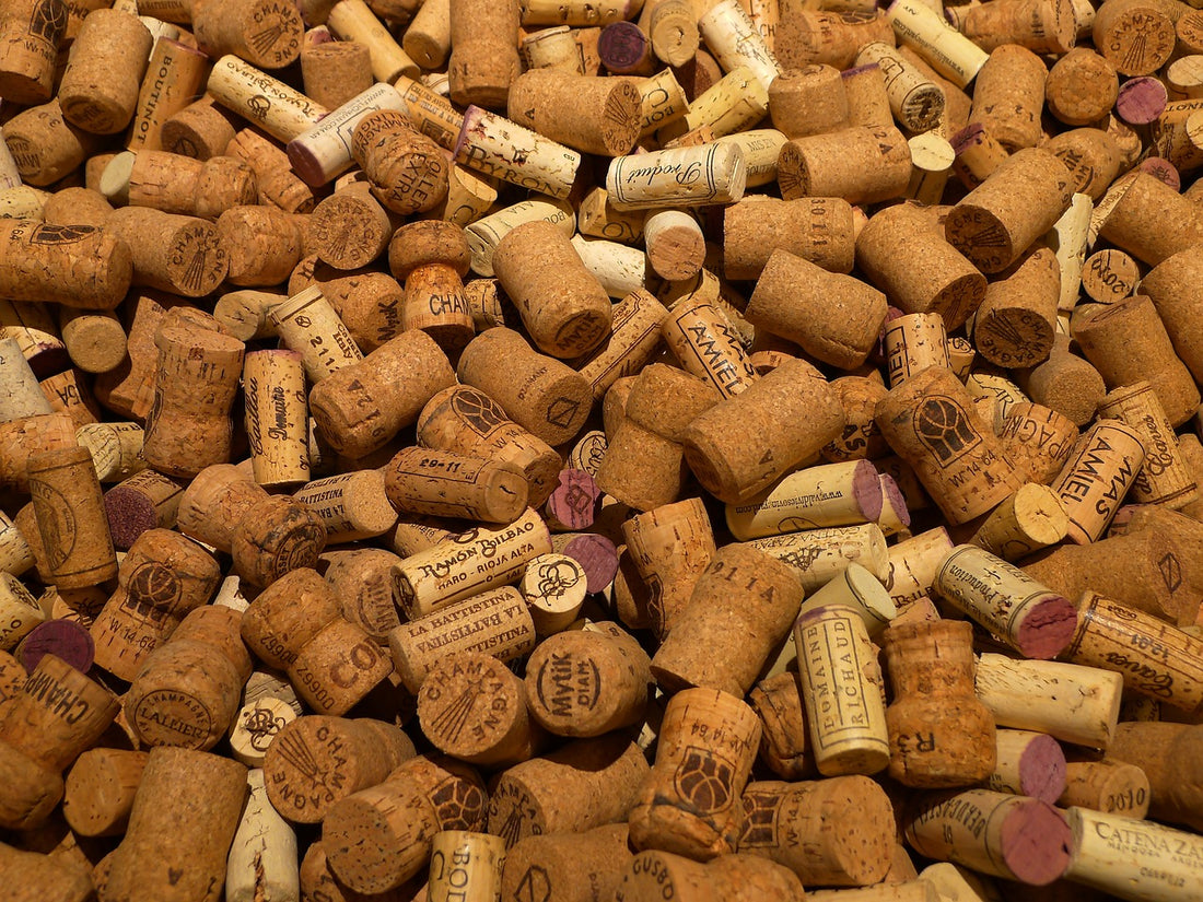 How to Use Corks as a Camping Igniter and Remove Odors from Your Car? - Safecastle