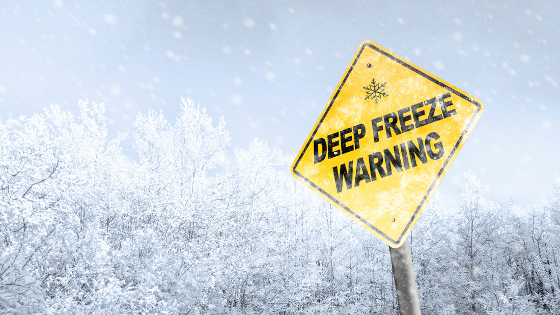 Understanding Freeze Warnings and Hard Freeze Warnings