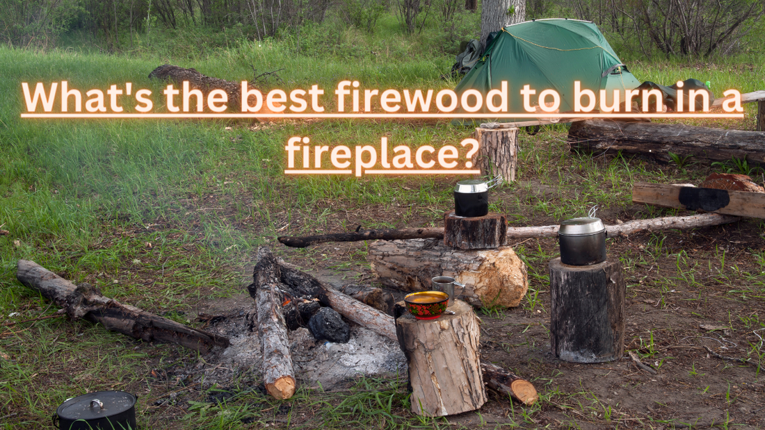 What's the best firewood to burn in a fireplace?