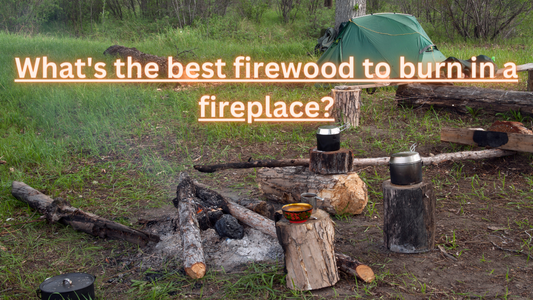 What's the best firewood to burn in a fireplace?