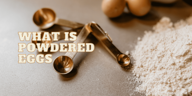 What is Powdered Eggs.?