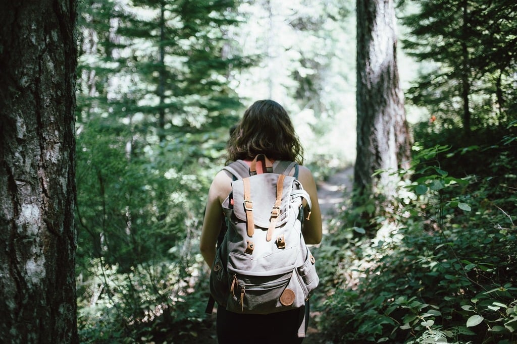 The Essential Guide to Foraging: Overcoming Fear and Learning the Basics