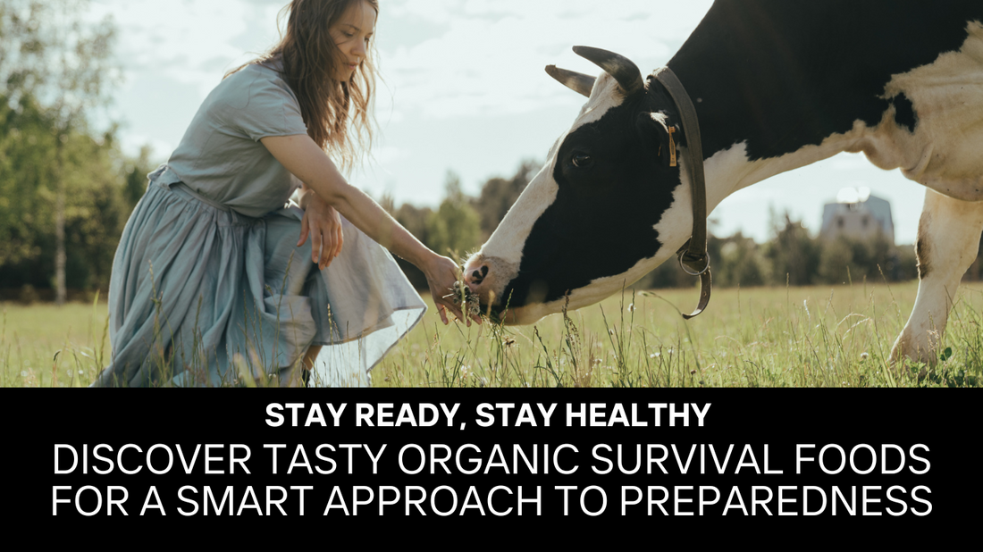 Organic Survival Foods: Nourish Your Preparedness with Health-Conscious Solutions