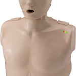 PRESTAN PP-AM-100M-MS Professional Adult CPR Training Manikin with CPR Monitor, Medium Skin thumbnail 2