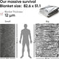 SAFECASTLE Emergency Mylar Blankets | Thermal First Aid Foil Blanket