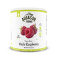 Augason Farms Freeze Dried Whole Raspberries #10 Can, 8 oz