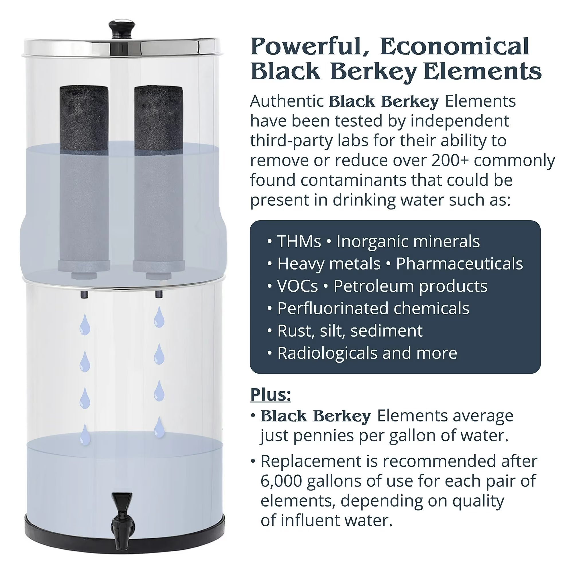 Berkey Authentic Black Berkey Replacement Elements BB9-2 Filters for Berkey Systems (set of 2)
