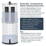 Berkey Authentic Black Berkey Replacement Elements BB9-2 Filters for Berkey Systems (set of 2) thumbnail 2