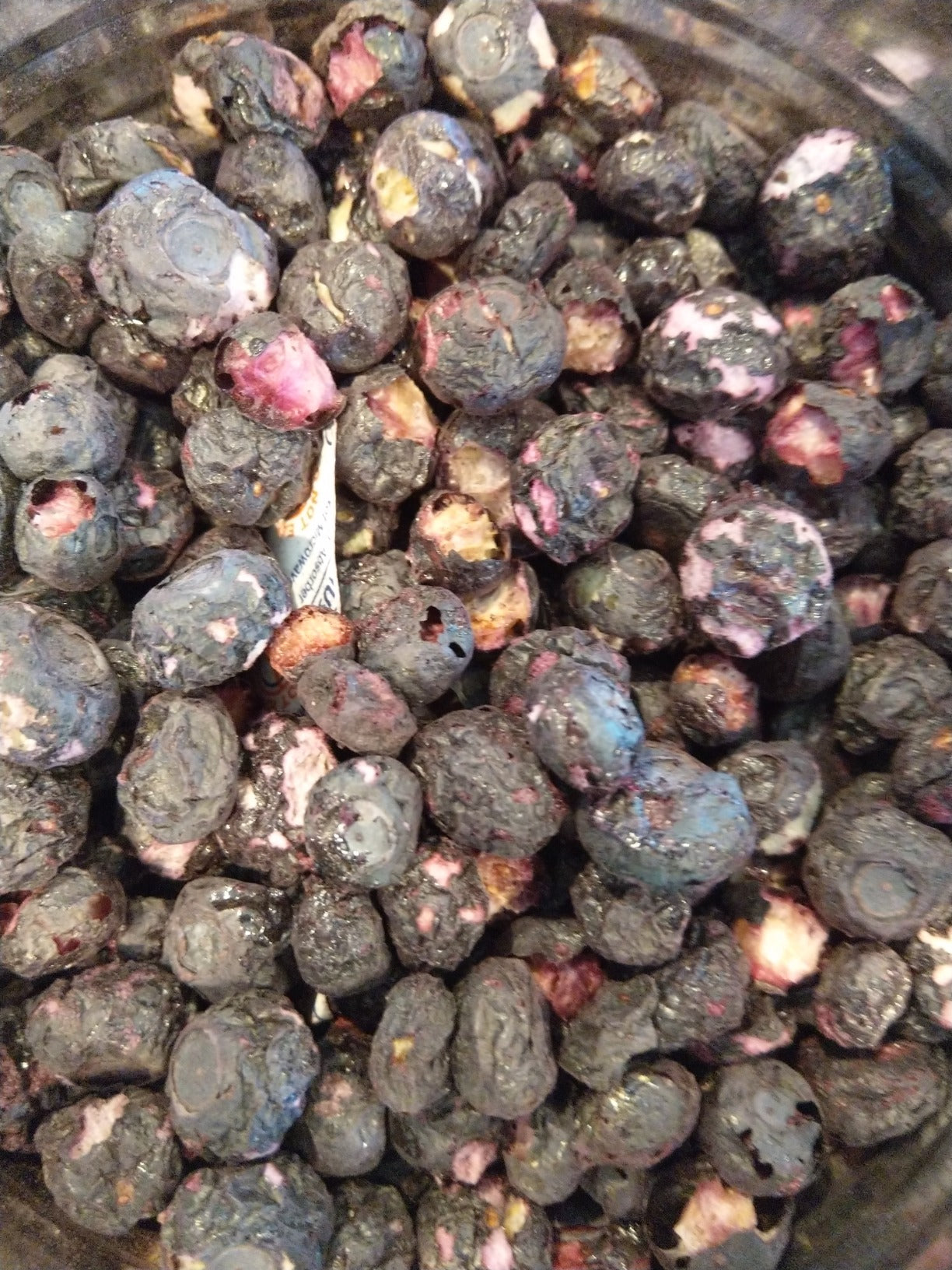 Augason Farms Freeze Dried Whole Blueberries, 12 Oz