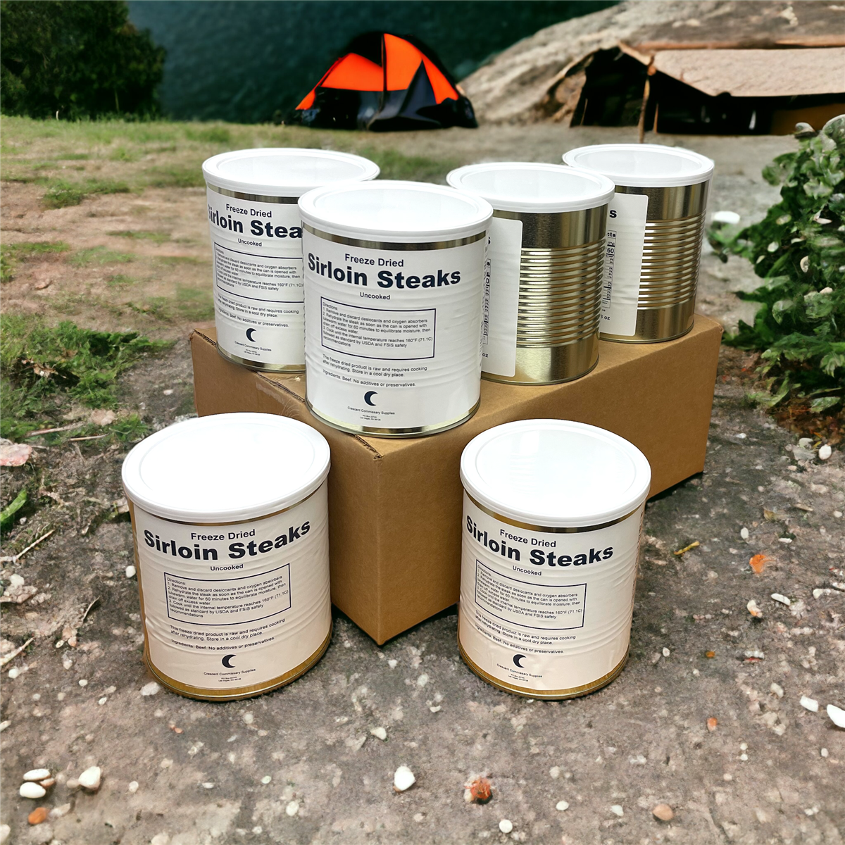 Military Surplus Freeze Dried Uncooked Sirloin Steaks (Beef)