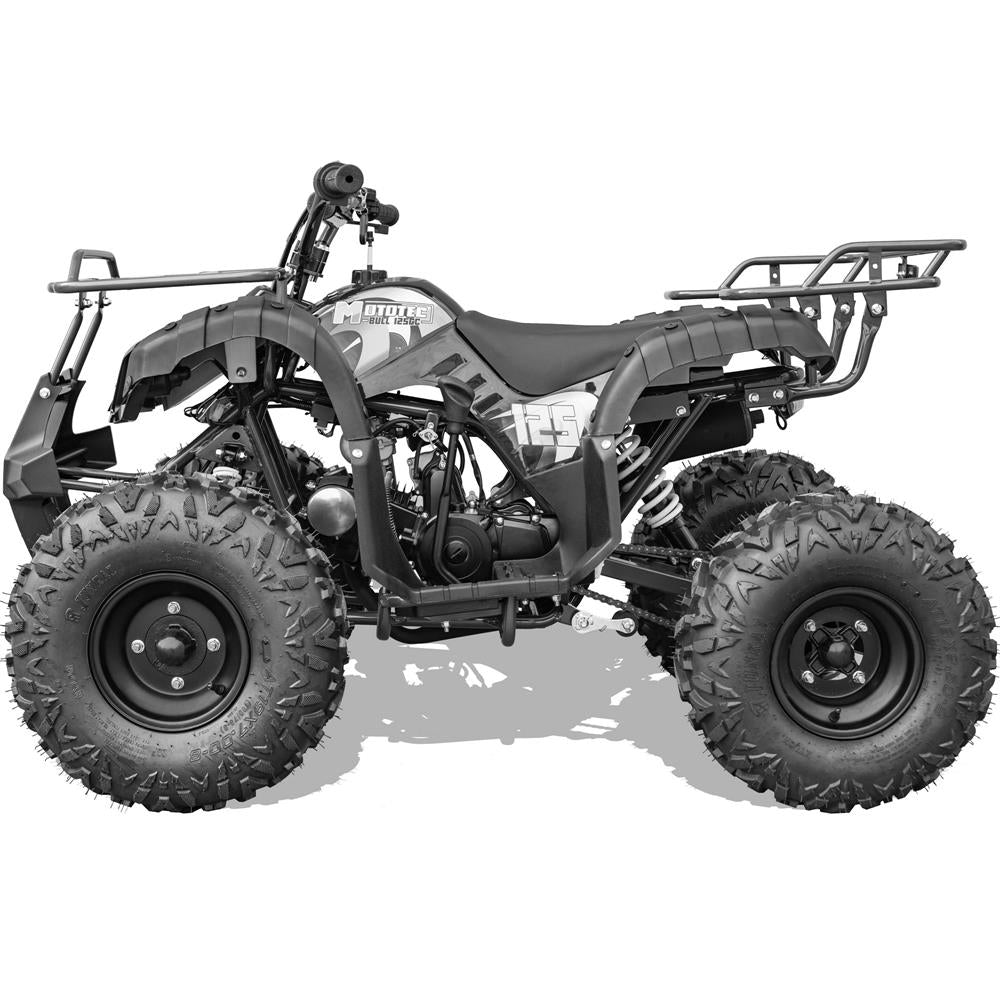 The self-adjusting rugged chain drive of the ATV. It reduces maintenance requirements and ensures reliable stopping power.