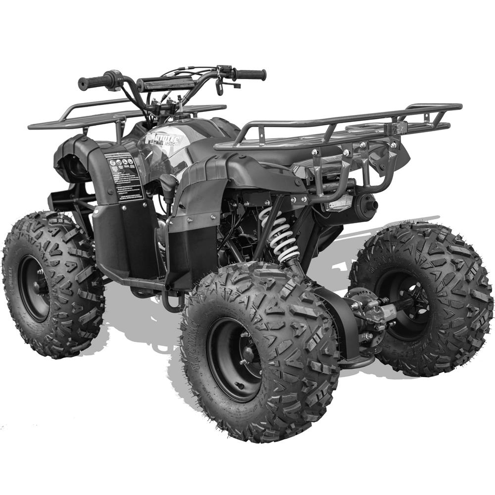 The durable alloy steel frame of the ATV. It offers strength and durability to withstand rough terrains and occasional impacts.