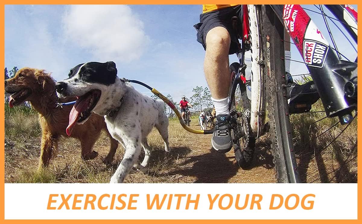 Bike Tow Leash Orange -Safe Dog Bike Attachment for Cycling, APA 5-Star USA Made