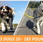 Bike Tow Leash Orange -Safe Dog Bike Attachment for Cycling, APA 5-Star USA Made