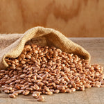 Dried Pinto Beans 4 Gallon Pail, 311 Servings