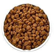 Future Essentials Dry Cat Food 1 can