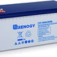 Renogy 12V 200AH Rechargeable Deep Cycle Hybrid GEL Battery