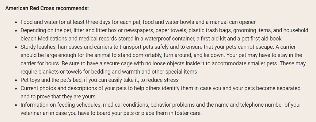 Future Essentials Dry Cat Food 1 can