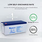 Renogy 12V 200AH Rechargeable Deep Cycle Hybrid GEL Battery