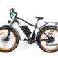 Breeze Fat Tire , Electric Mountain Bike 500W, 48V, 10.4Ah, Mozo Shock Absorber