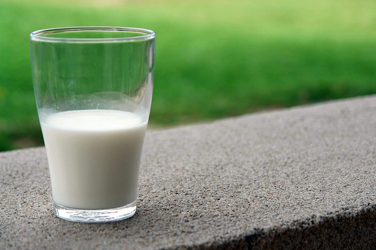 1 Can of Future Essentials Canned Powdered Non Fat Milk