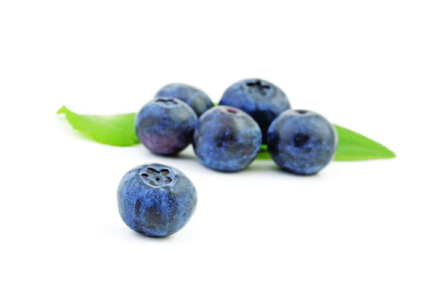 Fresh and Honest Foods 100% All Natural Freeze Dried Blueberries 11.1 OZ #10 Can