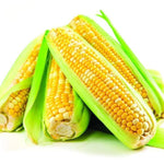 Fresh and Honest Foods 100% All Natural Freeze Dried Sweet Corn 16 OZ #10 Can