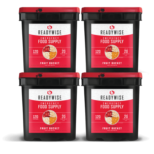 480 Serving Freeze Dried Fruit Bucket - Readywise(4, 120 serving buckets)