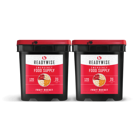 ReadyWise 240 Serving Freeze Dried Fruit Bucket